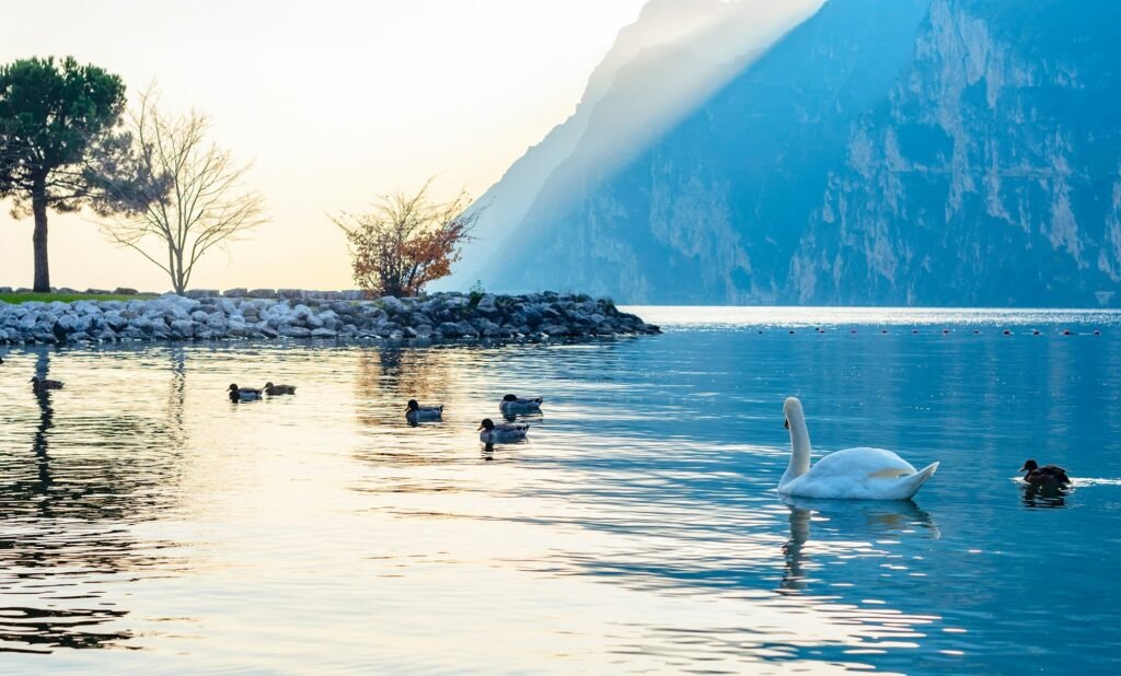 Calm water on Garda lake